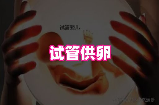 821孕网 2