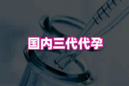 821孕网 3